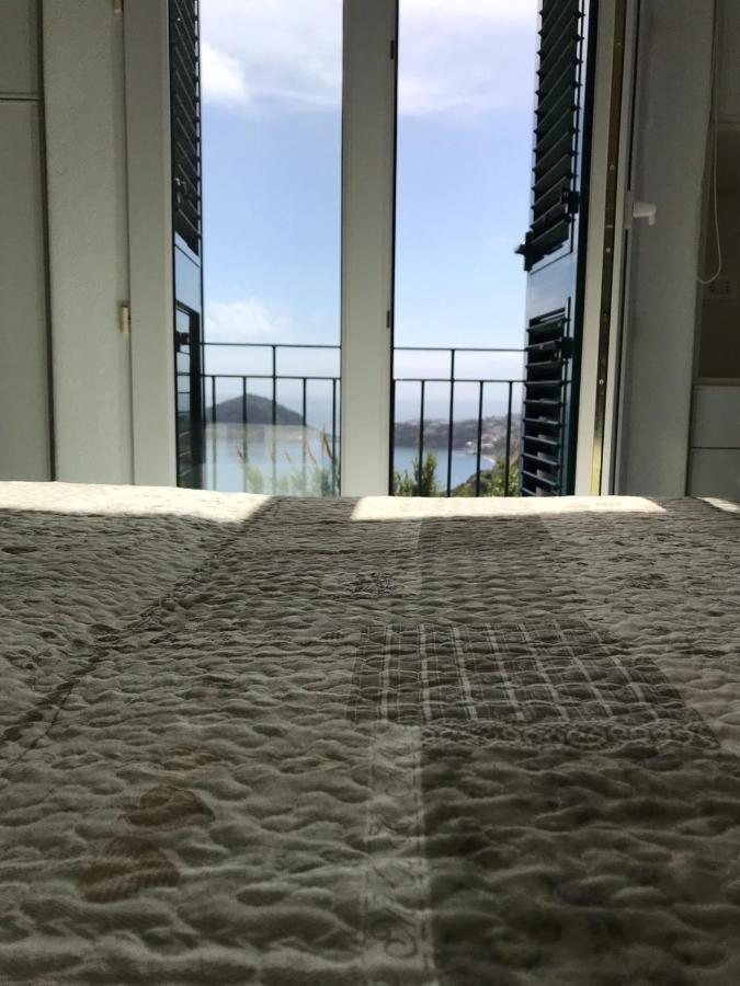 L' Ulivo Villa Nunzia バラーノ・ディスキア エクステリア 写真